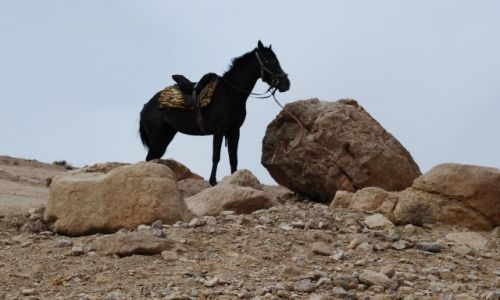 Zdjecie JORDANIA / Bliski Wschd / Petra / Taxi