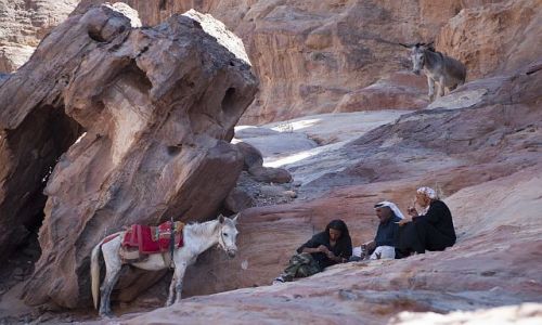 Zdjecie JORDANIA / Petra / ... / ....