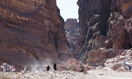 Zdjecie JORDANIA / Petra / Petra / ....