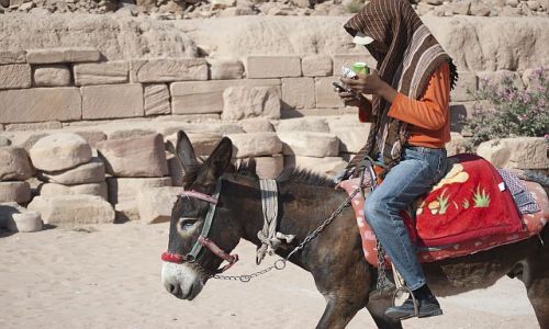 Zdjecie JORDANIA / Petra / ... / ....