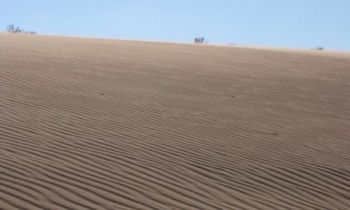 JORDANIA / Poudniowa jordania / Poudniowa Jordania / Wiatr i piasek
