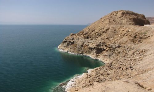 Zdjecie JORDANIA / rodkowa Jordania / Morze Martwe / Sl jest nawet na skaach