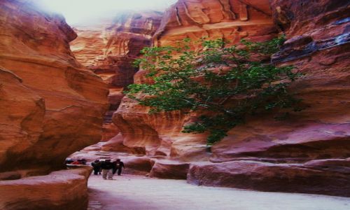 Zdjecie JORDANIA / Petra / W skalnym miecie / Wrd kolorowych ska