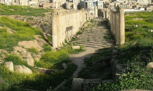 Zdjecie JORDANIA / pnocna Jordania / Jerash / Cardo Decumanus