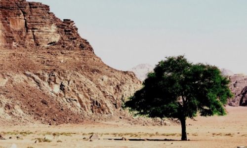 Zdjęcie JORDANIA / - / Jordania  / PustyniaWadi Rum