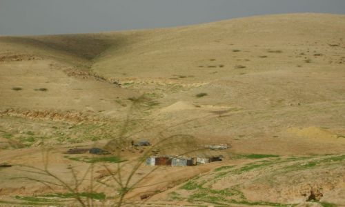 Zdjęcie JORDANIA / brak / okolice Ammanu / Osada Beduinów