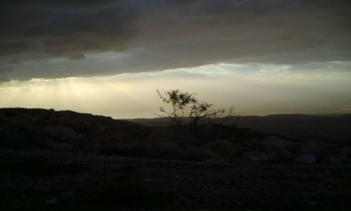 Zdjęcie JORDANIA / brak / okolice Ammanu / O świcie