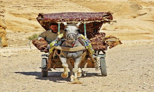 Zdjecie JORDANIA / Poudnie / Petra / Doroka