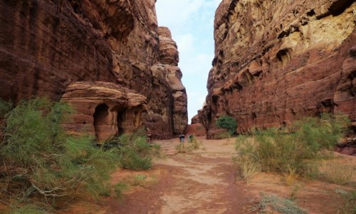 Zdjcie JORDANIA / Wadi Rum / . / Abu Khashaba canyon