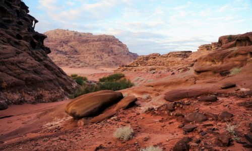 Zdjcie JORDANIA / Wadi Rum / . / Rnorodno na pustyni