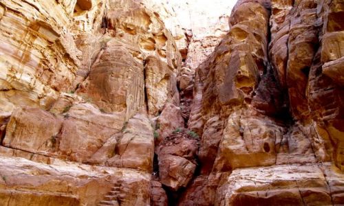 Zdjecie JORDANIA / na skraju Pustyni Arabskiej / Petra / ...