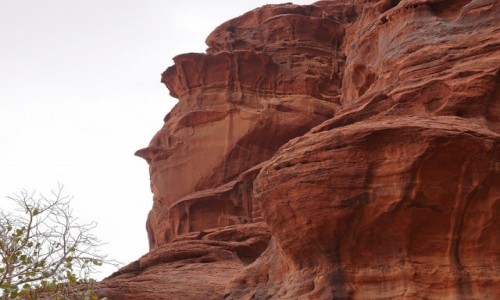 Zdjecie JORDANIA / Wadi Rum / Khazali Canyon / Profil krlowej pustyni