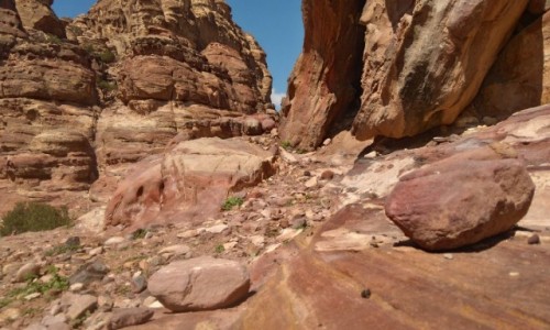 Zdjecie JORDANIA / petra / .. / kolory Perty