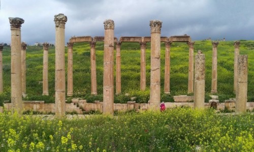 Zdjecie JORDANIA / Jerash / Rzymskie miasto / Wiosennie
