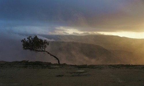 Zdjecie JORDANIA / Muhafaza Ma'an  / Dana / W drodze do Wadi Mussa