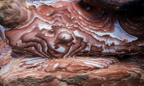 Zdjecie JORDANIA / Petra / . / Formy i barwy natury