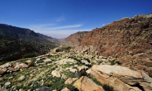 Zdjcie JORDANIA / Tafilah / Dana  / Rezerwat biosfery