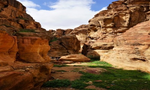 Zdjęcie JORDANIA / Muhafaza Ma'an / Petra / W drodze