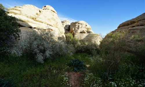 Zdjecie JORDANIA / Tafilah / Rezerwat biosfery Dana / Dokd poprowadzisz mnie cieko