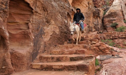 Zdjęcie JORDANIA / Petra / . / Jeździec