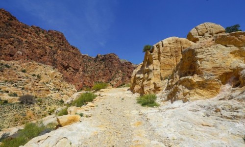 Zdjcie JORDANIA / Tafilah / Rezerwat biosfery Dana / Przenikanie