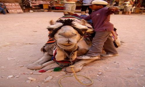 Zdjecie JORDANIA / brak / Petra / ...