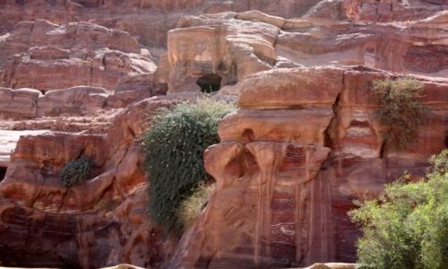 Zdjecie JORDANIA / Jordania / Petra / Petra