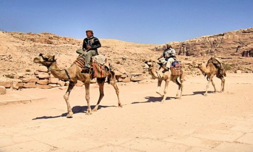 Zdjecie JORDANIA / brak / Petra / Jedżcy pustyni
