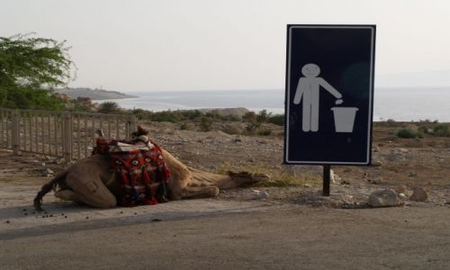 JORDANIA / brak / Jordania / Morze Martwe / Strefa niskiego cinienia