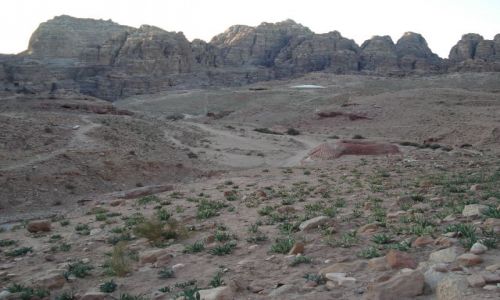 Zdjęcie JORDANIA / Ma an / Petra / Zmierzch