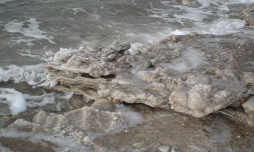 Zdjęcie JORDANIA / Al Karak / brzegi Morza Martwego / Morze Martwe