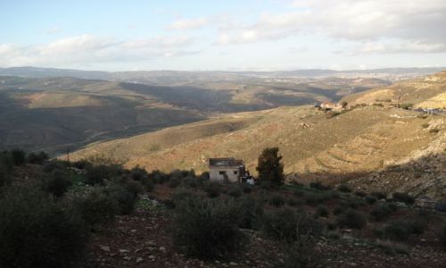 Zdjęcie JORDANIA / Amman / trasa Jerash - Amman / Krajobrazy Jordanii