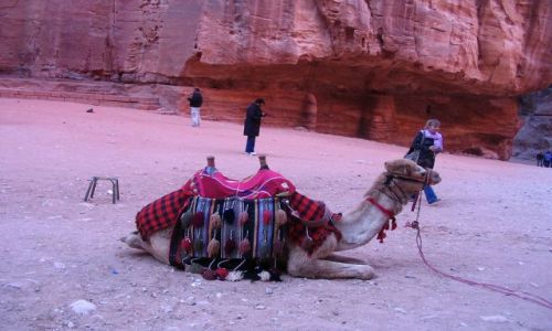 Zdjcie JORDANIA / pld-zach Jordania / Petra / odpoczywa