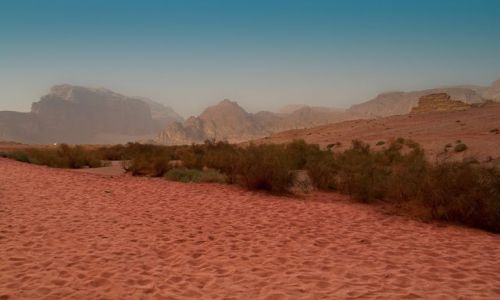 Zdjecie JORDANIA / Jordania / Wadi Rum / Na pustyni Wadi Rum