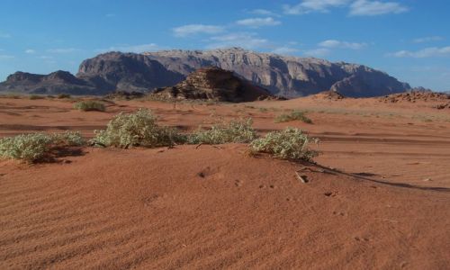 Zdjecie JORDANIA / Pd. Jordania / Wadi Rum / Na pustyni Wadi Rum