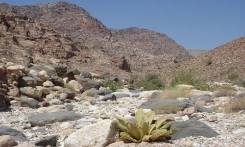 Zdjecie JORDANIA / brak / Vadi Dana / pora sucha