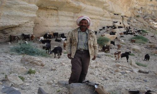 Zdjecie JORDANIA / brak / Vadi Mujib / Beduin
