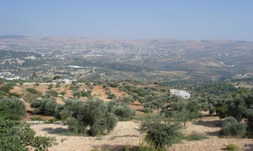 Zdjęcie JORDANIA / brak / Adzlun / Adzlun