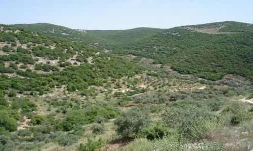 Zdj�cie JORDANIA / brak / Zubja / Zubja