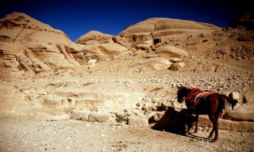 Zdjcie JORDANIA / Petra / Wawoz / taksowka oczekuje