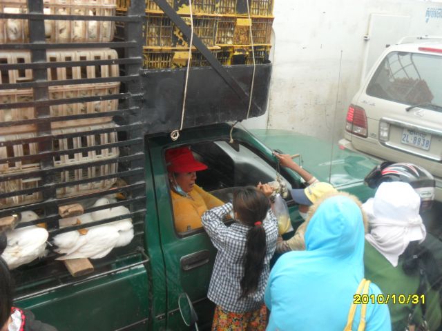 Zdjęcia: ..., w drodze do phnom penh, handelek, KAMBODżA Zdjęcia: ..., w drodze do phnom penh, handelek, KAMBODżA
