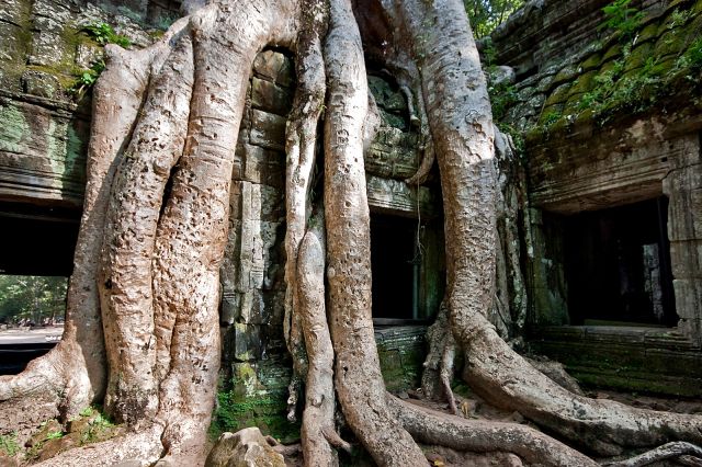 Zdjęcia: Siem Reap, kompleks świątyn Angkor, KAMBODżA Zdjęcia: Siem Reap, kompleks świątyn Angkor, KAMBODżA