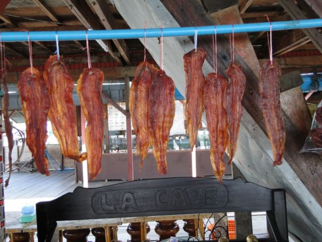 Zdjęcia: Tonle Sap, Tonle Sap, Wężowina, KAMBODżA Zdjęcia: Tonle Sap, Tonle Sap, Wężowina, KAMBODżA