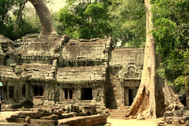 Zdjęcia: ANGKOR WAT, Siem Reap, ANGKOR WAT, TA PHROM, KAMBODżA Zdjęcia: ANGKOR WAT, Siem Reap, ANGKOR WAT, TA PHROM, KAMBODżA