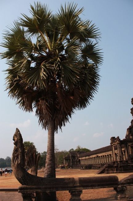Zdjęcia: Siem Reap, Angkor Wat, KAMBODżA Zdjęcia: Siem Reap, Angkor Wat, KAMBODżA