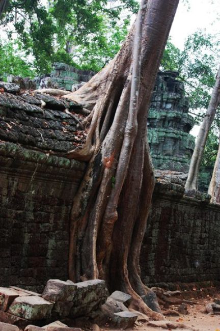 Zdjęcia: Siem Reap, Angkor Wat, KAMBODżA Zdjęcia: Siem Reap, Angkor Wat, KAMBODżA