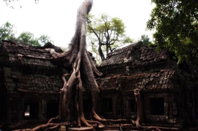 Zdjęcia: Siem Reap, Angkor Wat, KAMBODżA Zdjęcia: Siem Reap, Angkor Wat, KAMBODżA