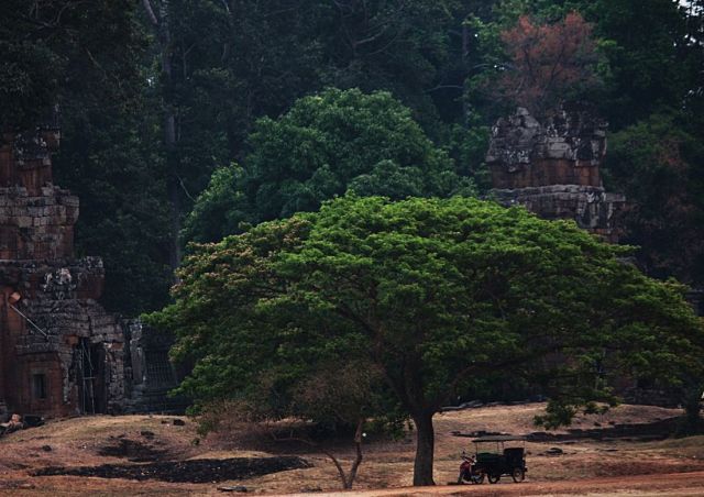 Zdjęcia: Siem Reap, Angkor Wat, KAMBODżA Zdjęcia: Siem Reap, Angkor Wat, KAMBODżA