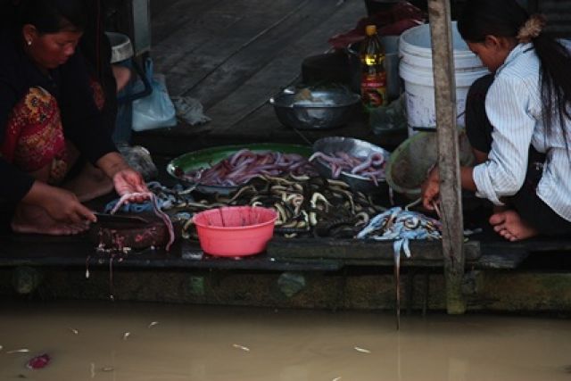 Zdjęcia: Siem Reap, przygotowania do obiadu, KAMBODżA Zdjęcia: Siem Reap, przygotowania do obiadu, KAMBODżA