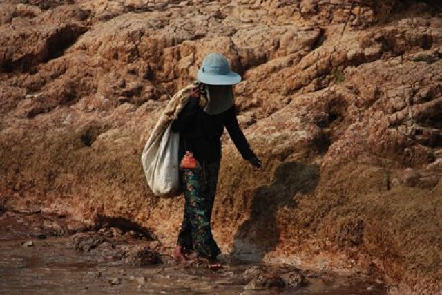 Zdjęcia: Siem Reap, zbieraczka ....., KAMBODżA Zdjęcia: Siem Reap, zbieraczka ....., KAMBODżA